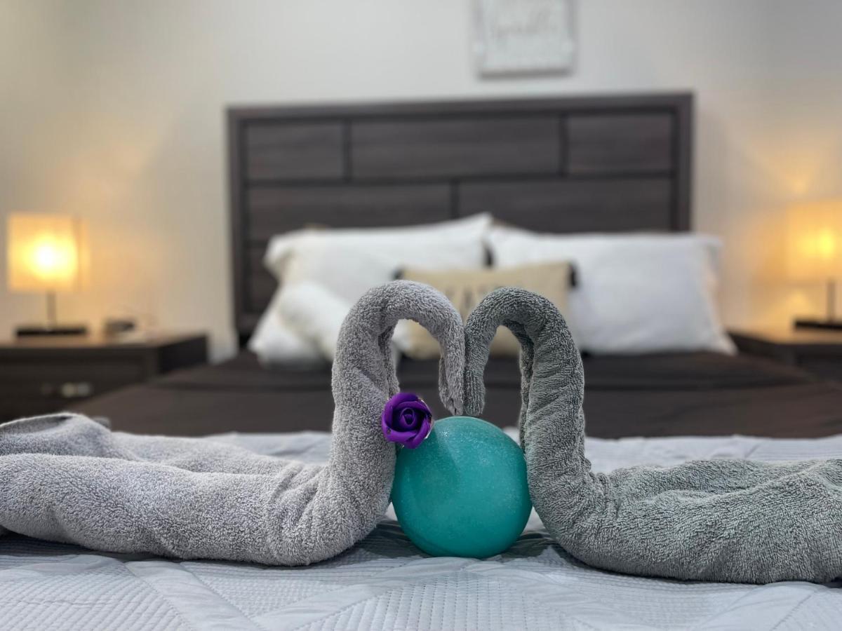 Modern Santorini Suite Houston Nrg Tmc Luxurious Walkable מראה חיצוני תמונה